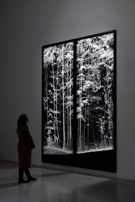 art digital 3d-scaning trees- remains- vallée de Joux-  installation view at How Art Museum, Shanghai